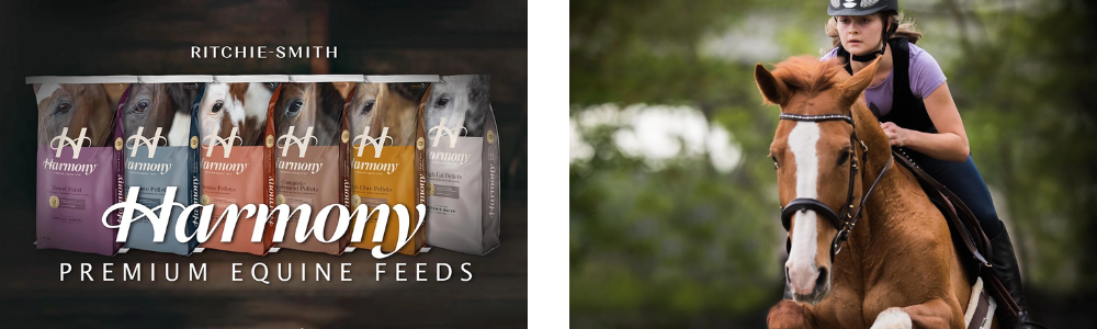 Horse feed
