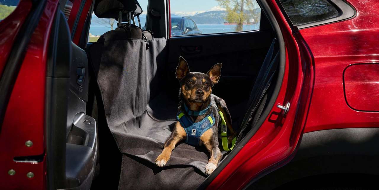 RC Pets Sit Tight Tether and Trekker Seat Protector