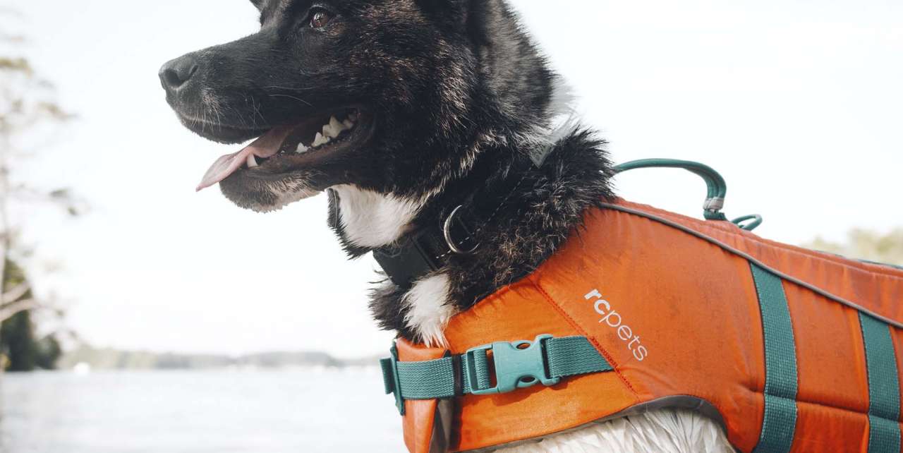 RC Pets Tidal Live Vest