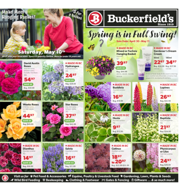 Flyer April 30 - May 11
