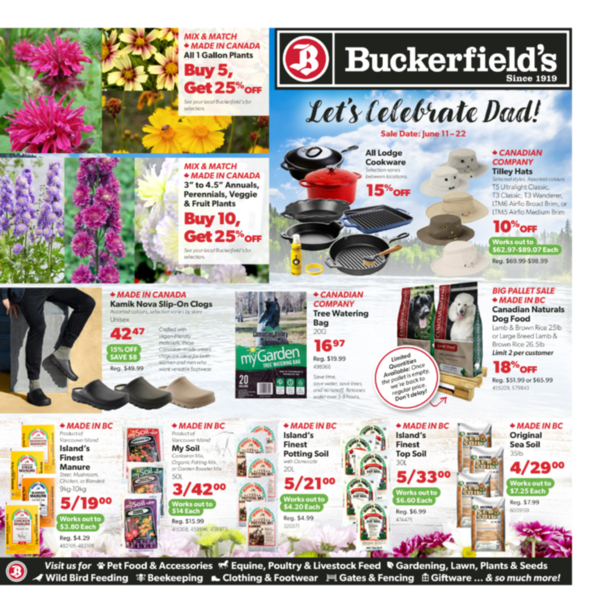 Flyer June 11-22