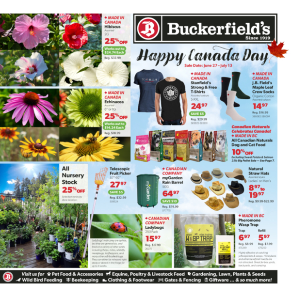 Flyer June 27 - July 13
