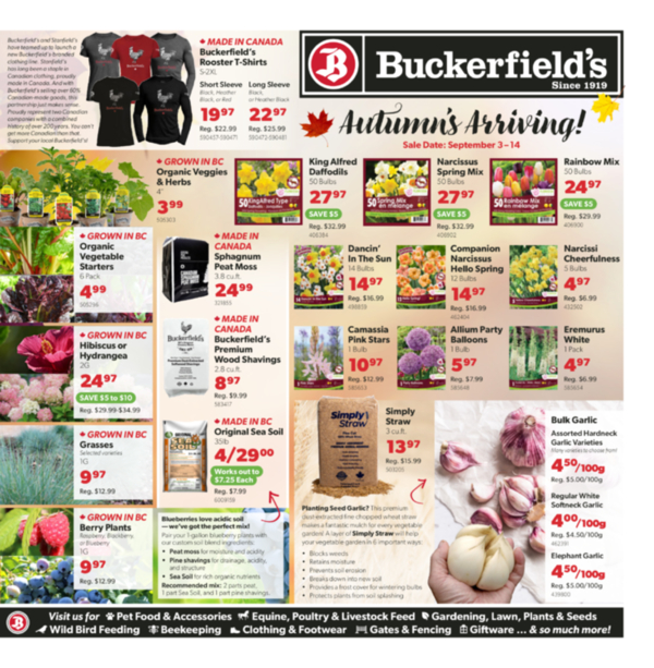 Flyer September 3-14