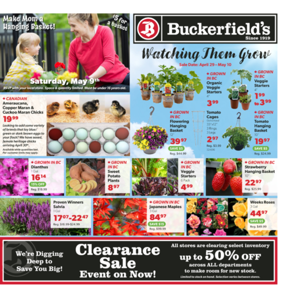 Flyer April 29-May 10