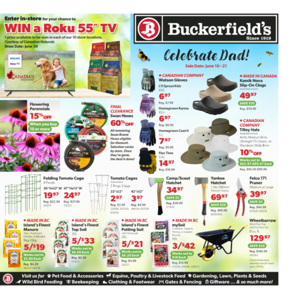 Flyer June 10-21
