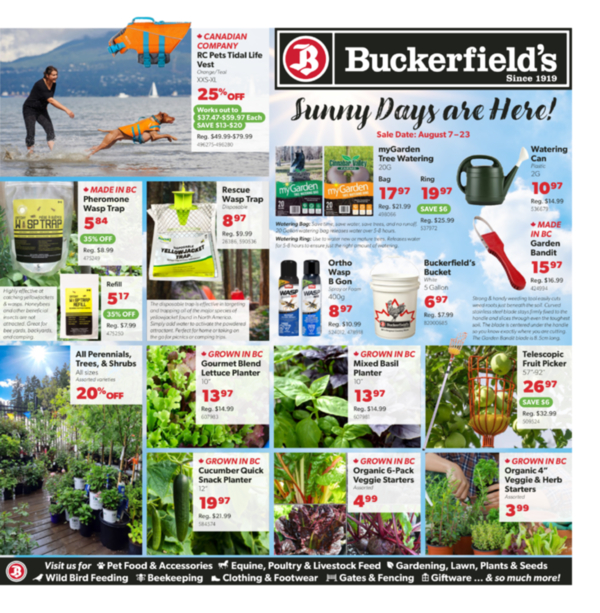 Flyer August 7-23