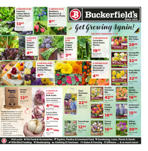 Flyer September 2-13