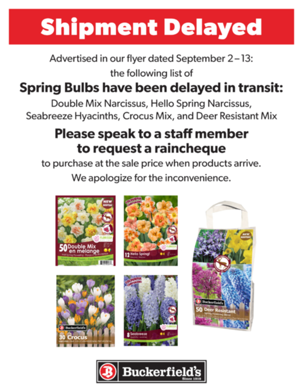 Delay Notice - Spring Bulbs