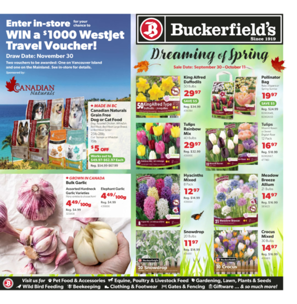 Flyer Sept 30-Oct 11
