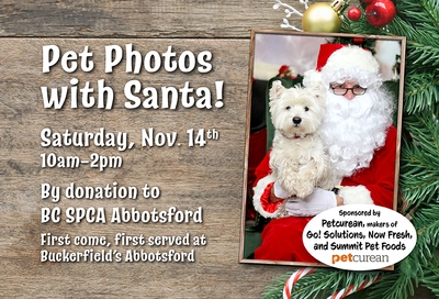 Abbotsford Pet Photos with Santa