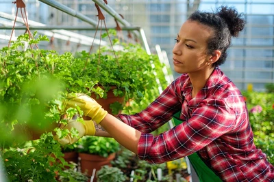 Apply to join our team in Saanich