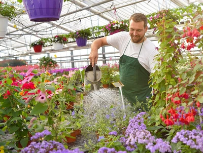 Duncan Assistant Store Manager