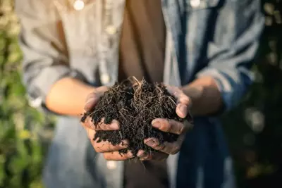 How to Choose the Right Type of Soil for Your Plant? How to Choose the Right Type of Soil for Your Plant?
