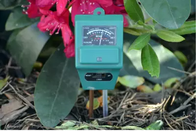 How to Use a Plant Moisture Metre?