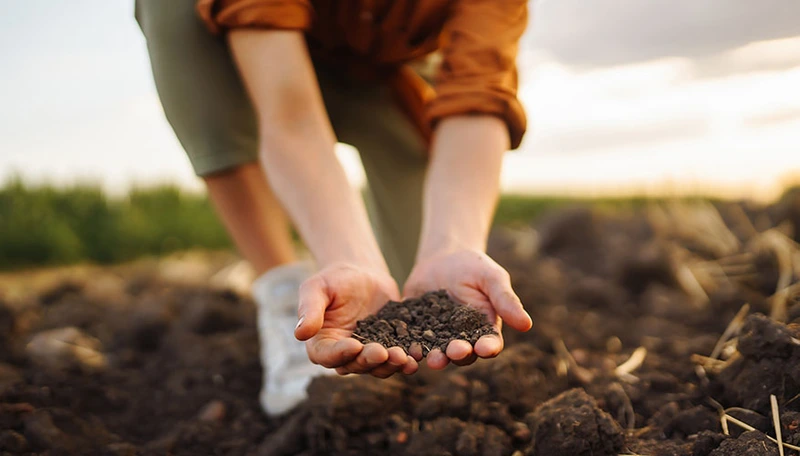 Salmon Arm: Building your soil fertility - Soil health is the answer!