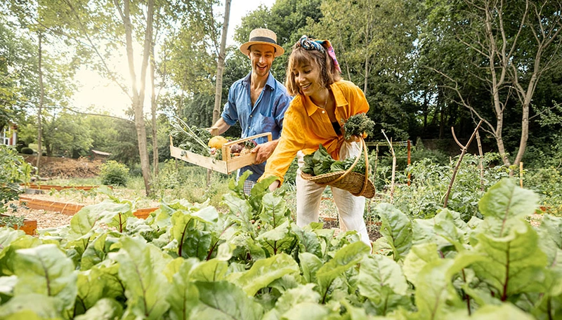 Salmon Arm: Permaculture - what It Is and how to apply it to your home and garden