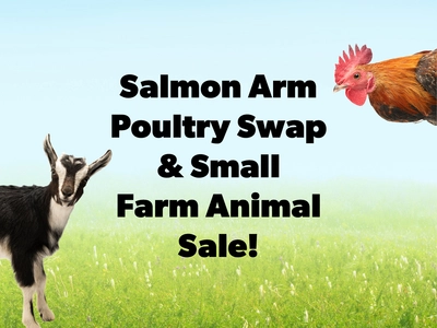 Salmon Arm Poultry Swap & Small Farm Animal Sale!