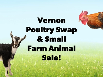 Vernon Poultry Swap & Small Farm Animal Sale!