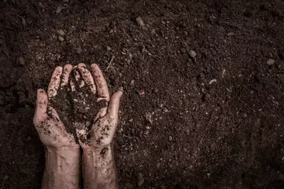 When to Use Fish Soil? When to Use Fish Soil?
