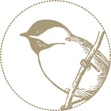 Wild Bird Wild Bird