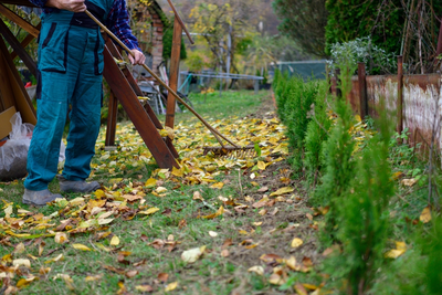 15 garden tips for December