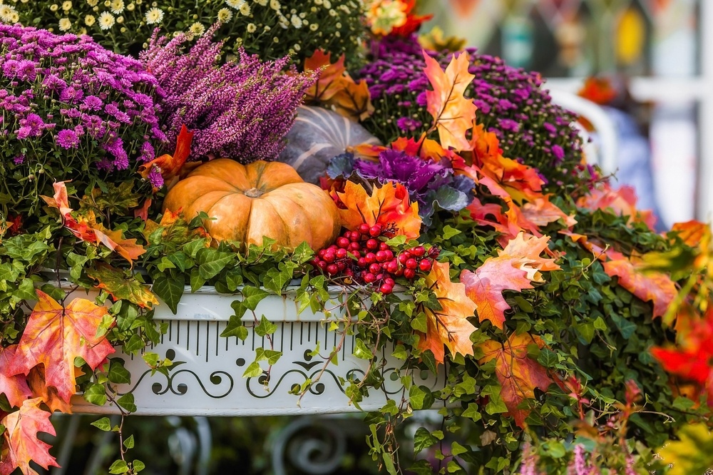 Buckerfields | Your Source for Latest Gardening & Farming News and Tips ...