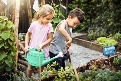 Container Gardening