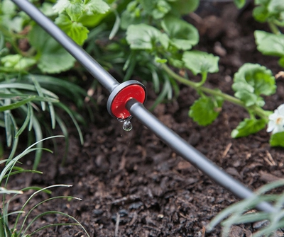 Drip It When It’s Hot with Micro Irrigation