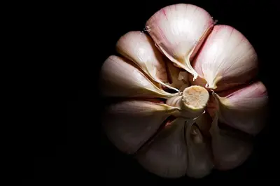 Growing Garlic