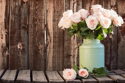 How to Grow and Care for Roses