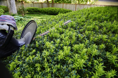 Top 5 alternatives to box hedging