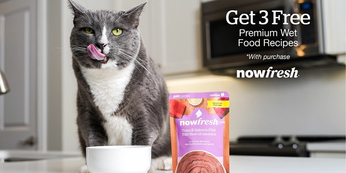 3 FREE Now Fresh Wet Food Pouches with purchase