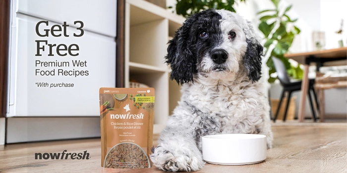 3 FREE Now Fresh Wet Food Pouches with purchase