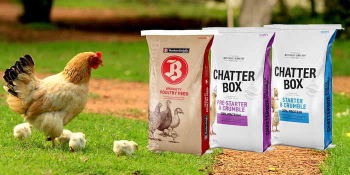 All Poultry Starter Feed