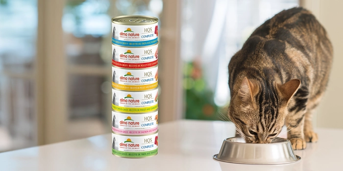 Almo Nature HQS Complete Canned Cat Food