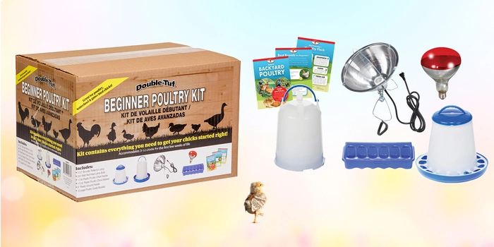 Beginner Poultry Kit