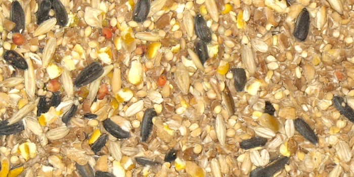 Buckerfield’s Backyard Blend Wild Bird Seed