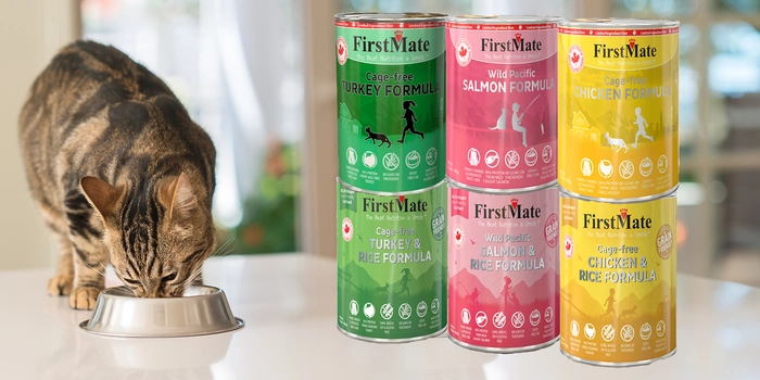 FirstMate Cat Grain Friendly Wet Food