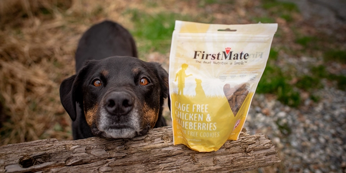 FirstMate Grain Free Limited Ingredient Cookies