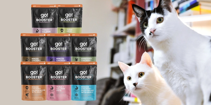 Go! Booster Cat