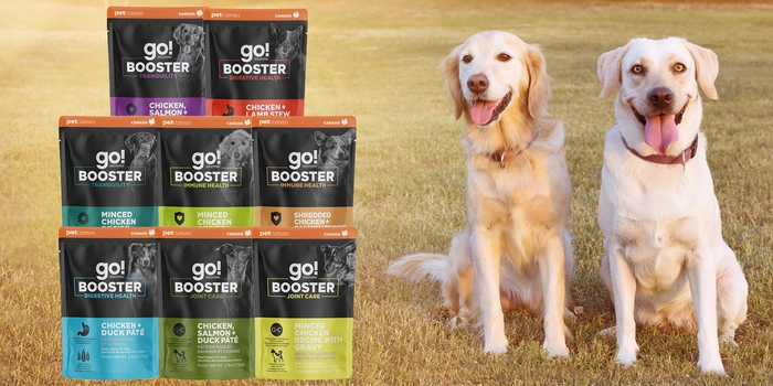 Go! Booster Dog