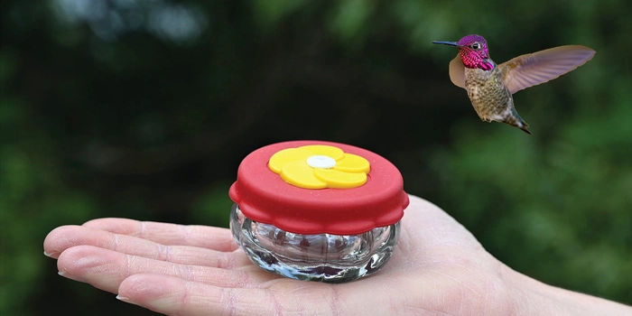 Handheld Hummingbird Feeder