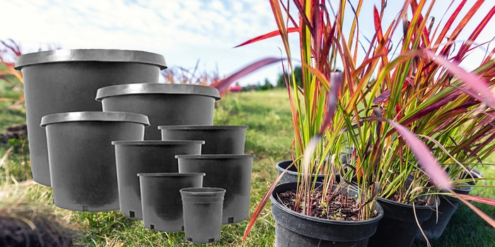 Hardwall Nursery Pots