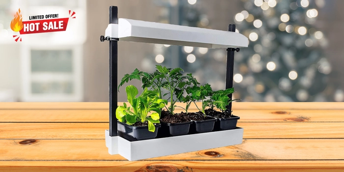 Micro Grow Light Garden Kit