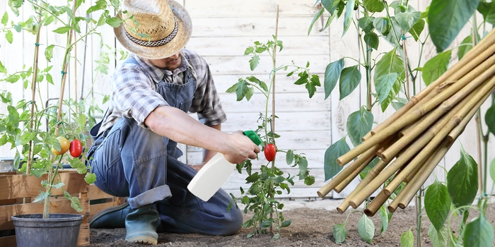 myGarden Natural  Bamboo Stakes