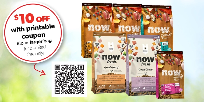 Now Dog or Cat Food