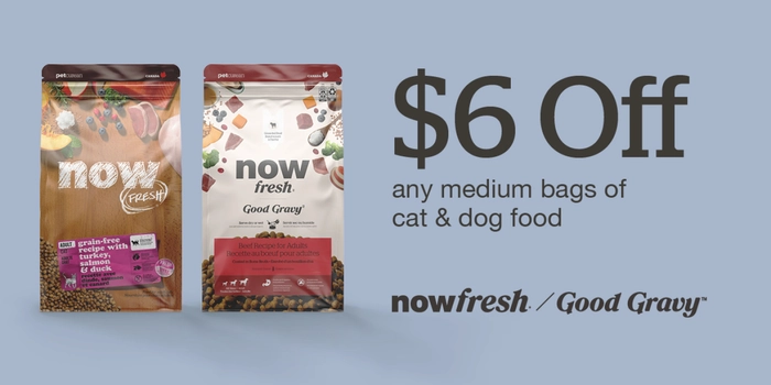 Now Fresh & Good Gravy Kibble