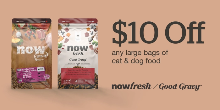 Now Fresh & Good Gravy Kibble