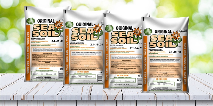 Original Sea Soil