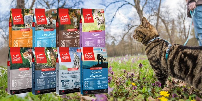 Orijen Cat Food Large Bags